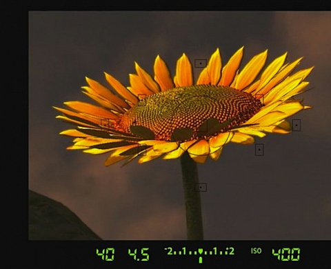 Un nouveau jeu vidéo pour progresser en photographie