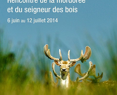 La galerie DS Souchon présente Rencontre de la mordorée et du seigneur des bois