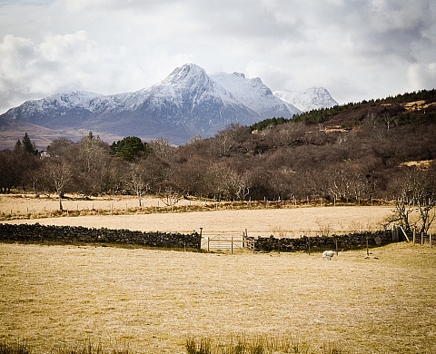 Édition 2014 des Balades(s), Parcours Photographique en pays d'Hérault