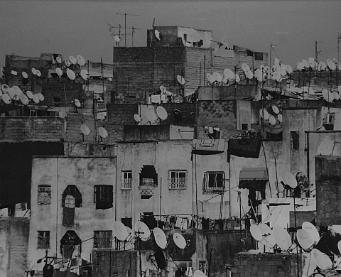 Pascal Barnier et Hubert Morin exposent dans le cadre de l'exposition « Estivales 2014 »