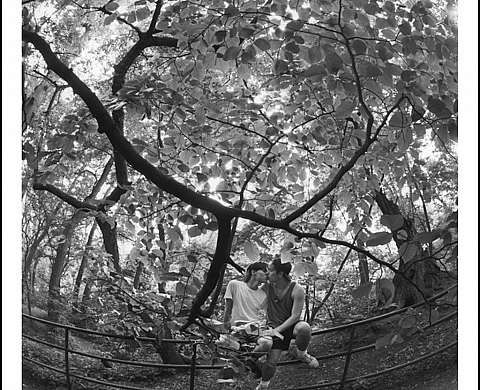 Vente flash de photos Magnum : leur site saturé sous l'affluence 