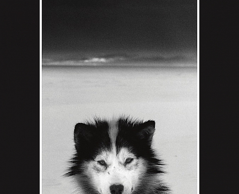 Le Grand Nord de Ragnar Axelsson chez Actes Sud, collection PhotoPoche Le Grand Nord de Ragnar Axelsson chez Actes Sud, collection PhotoPoche