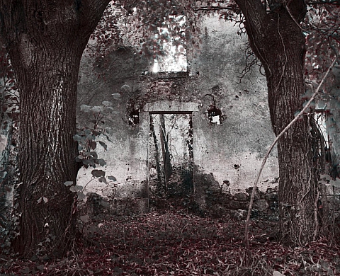 Alain Etchepare exposé dans le cadre des Itinéraires Photographiques en Limousin
