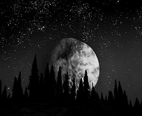 Matthew Albanese présente sa série « STRANGE WORLDS » chez Colette