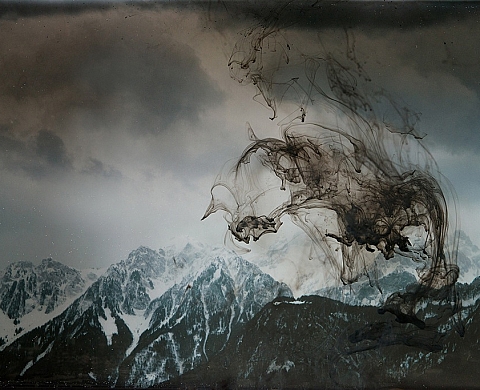 Artyfact Labgalerie présente sa nouvelle exposition : « Nature(s) »