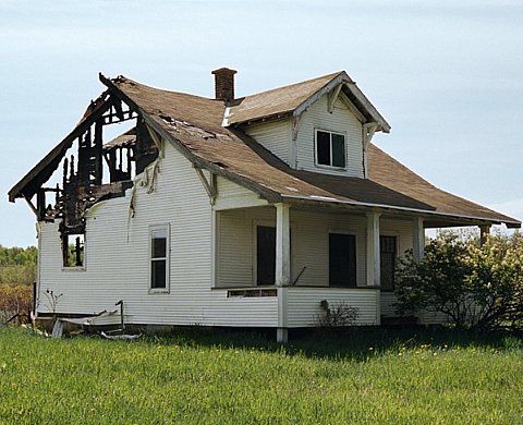 Louis Heilbronn : « From Flowers and More » à la Galerie Polaris