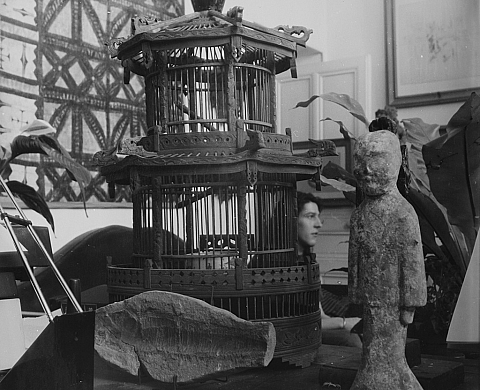« Le Conte de la cage » : une exposition de Bernard Guillot à la fondation Auer Ory