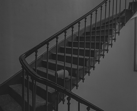 Le Grand Prix Samaritaine de la Jeune Photographie 2014 attribué à Mats Gustau