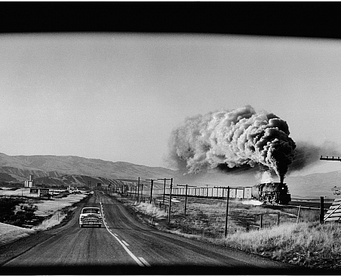 La Galerie Esther Woerdehoff présente sa nouvelle exposition, « Drive-In »