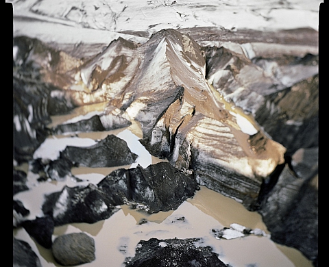 Sabine Delcour expose au Château Palmer