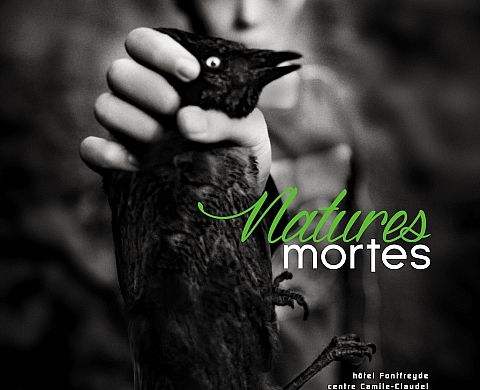 « Nicéphore » : 12ème festival international de photographie à Clermont-Ferrand