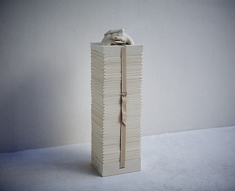 Exposition de Stéphanie Solinas « Déserteurs »