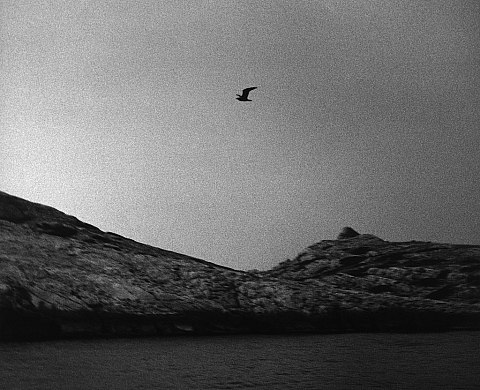 « BORDeMER », une sélection de la collection photographique du Conservatoire du Littoral « BORDeMER », une sélection de la collection photographique du Conservatoire du Littoral