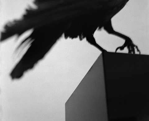 « De faux horizons », Alberto Garcia Alix « De faux horizons », Alberto Garcia Alix