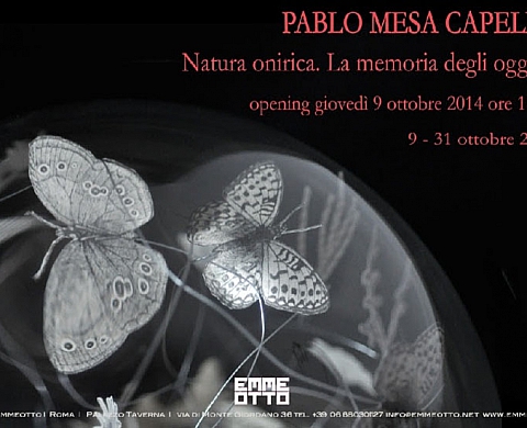 Natura Onirica. La memoria degli oggetti - Pablo Mesa Capella