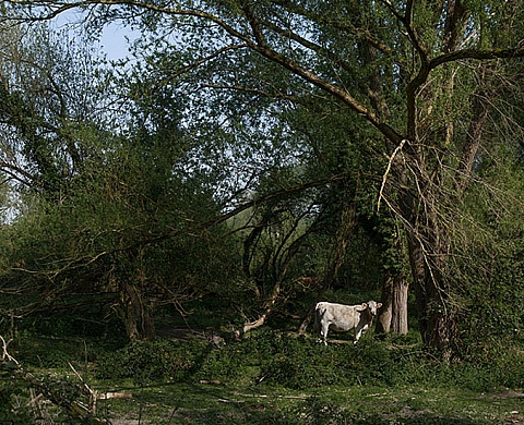 Paysages sur commande, Deux commandes sur le paysage de l’Eure
