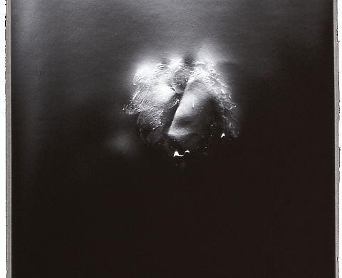 Exposition : « La photographie à coeur ouvert 1850 - 2015 » Exposition : « La photographie à coeur ouvert 1850 - 2015 »