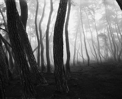 BAE Bien-U à la galerie RX : exposition et journées découvertes