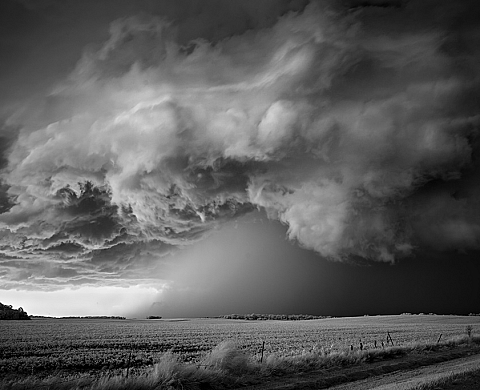 Nature in the Raw - Mitch Dobrowner