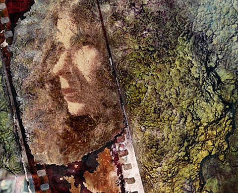 Joshua Lutz : « Hesitating Beauty »