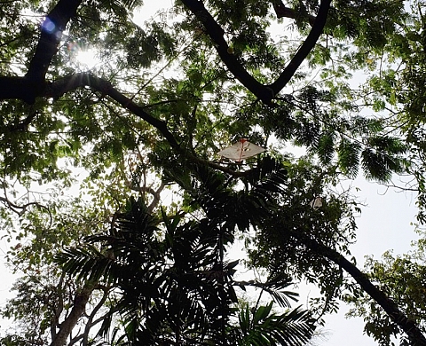 Manuela Marques présente « Backstage »