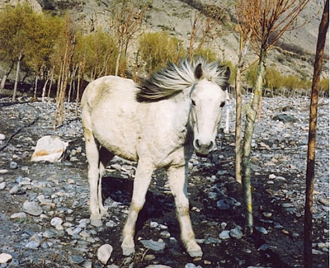 Vincent Delbrouck : deux expositions pour le prix d'une