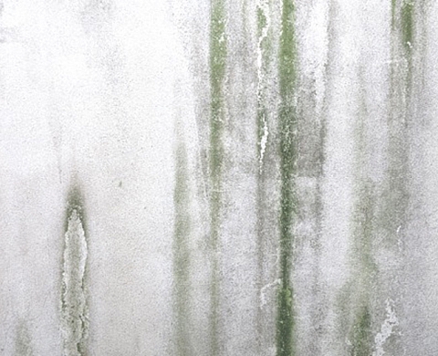 Une sédimentation d'images sans image à Galerie des Grands Bains Douches