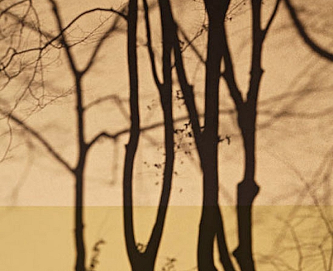 Between the shadows, Joachim Hildebrand - Kim Weston - Trilight Collective 