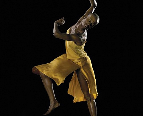 Quand la danse rencontre la photographie Quand la danse rencontre la photographie