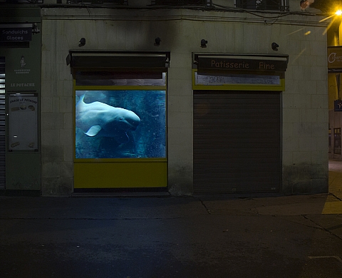 Negpos Photographie / Images et Ville 2014