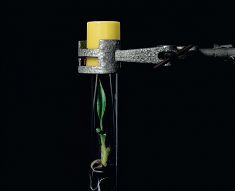 Yann Mingard: Deposit