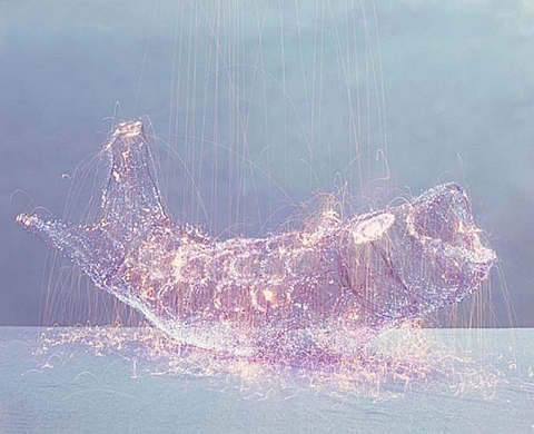 Contemporary Chinese Photography à la galerie Magda Danysz Paris