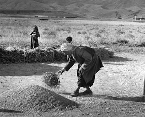 Françoise Saur : « Voyages en Algérie » Françoise Saur : « Voyages en Algérie »