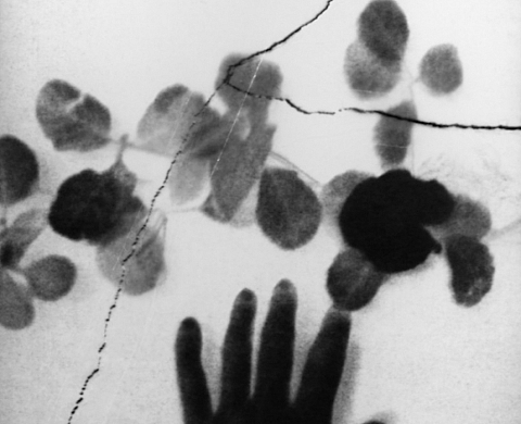 « Fêlures » d'Anaïs Boudot 