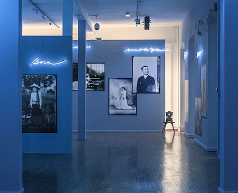 Les pôles des aimants de Sarkis