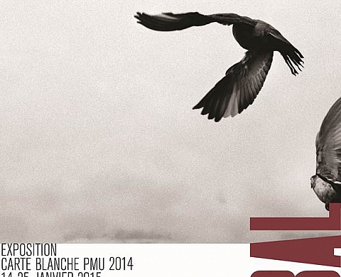 La 5e Carte blanche PMU exposée au BAL du 14 au 25 janvier 2015