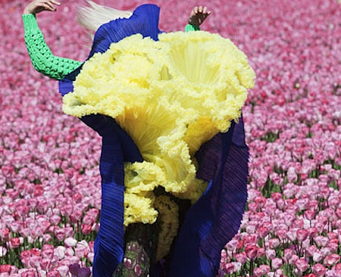 Exposition : Viviane Sassen