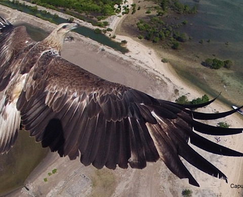 Dronestagram, le classement 