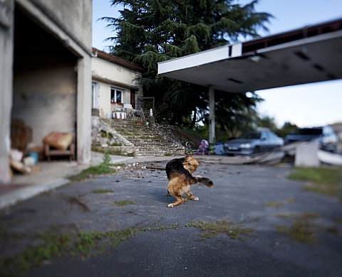 Céline Levain expose au Conseil général de la Charente