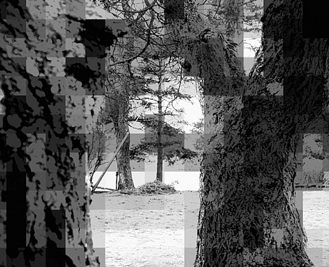 Exposition de Philippe Lerestif, 