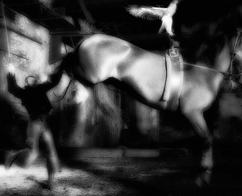 Exposition : ZINGARO 1980 -1985 d'Alain Sauvan