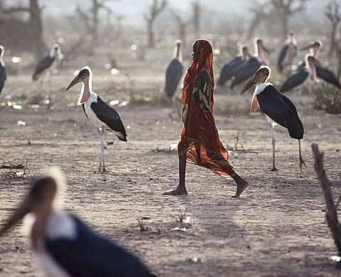 40 ans de photo-journalisme : Génération agences 40 ans de photo-journalisme : Génération agences