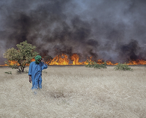 Exposition : AFRICA  Big Change - Big Chance