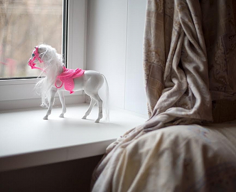 Exposition : Deleted scene - des  traces en Taiga de Yury Toroptsov