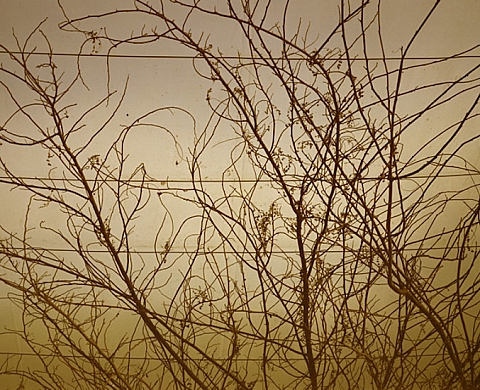 Exposition : Comme une cheminée qui débouche en plein ciel