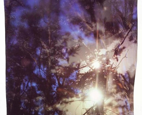 Exposition : Haines Gallery Returns to Fog Design + Art