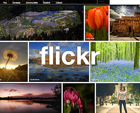 Flickr dévoile ses statistiques : Canon devance Nikon !