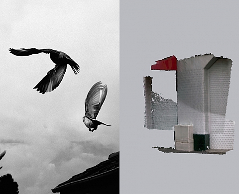 Exposition : Les Immobiles de Léa Habourdin et Thibault Brunet Exposition : Les Immobiles de Léa Habourdin et Thibault Brunet