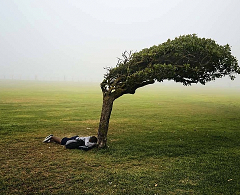 Kin : Pieter Hugo sonde l'âme de l'Afrique du sud Kin : Pieter Hugo sonde l'âme de l'Afrique du sud