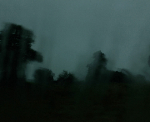 Exposition : Paysages intimes